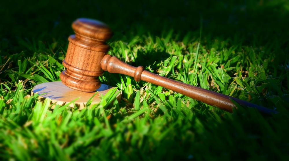 Capa da notícia: Estudo revela como decisões judiciais afetam o Cerrado